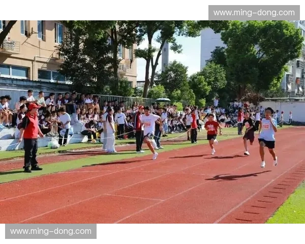 青春激战燃动赛场全国高校电竞运动会激情开启新篇章