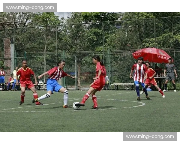 海淀足球联赛精彩纷呈 各支球队激烈角逐争夺冠军宝座